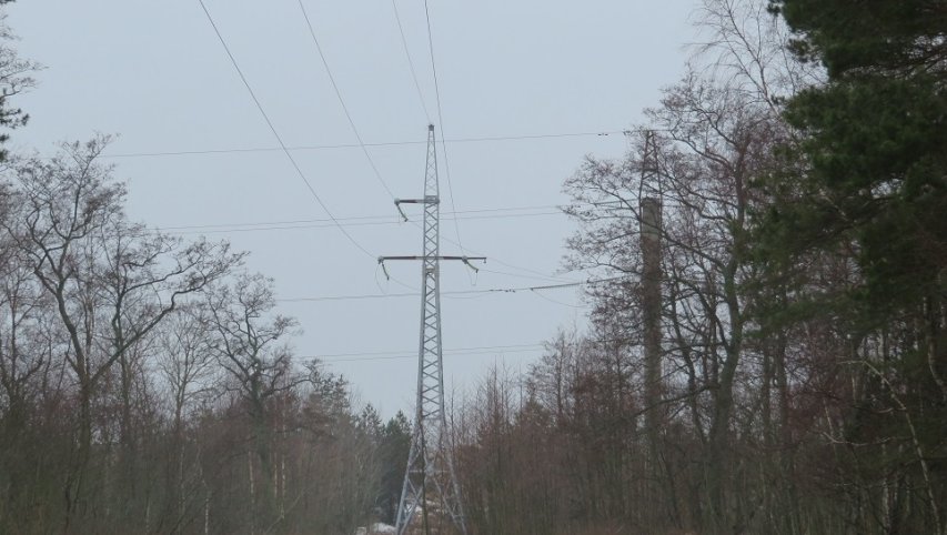 Kuršių nerijoje elektros oro linijas pakeis požeminiai kabeliai