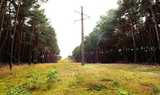 Kuršių nerijos kraštovaizdyje nebeliks elektros oro linijų