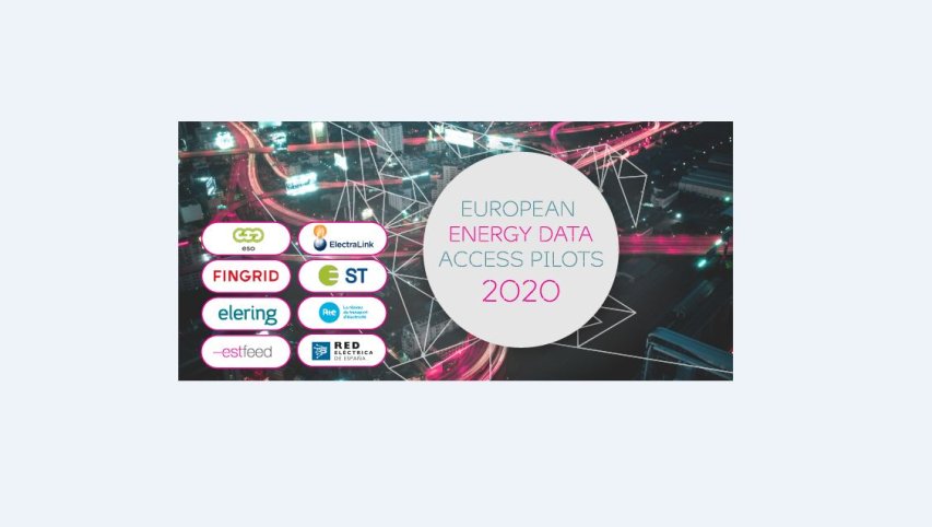 The winners of the European Energy Data Access Pilots 2020 have been selected! 