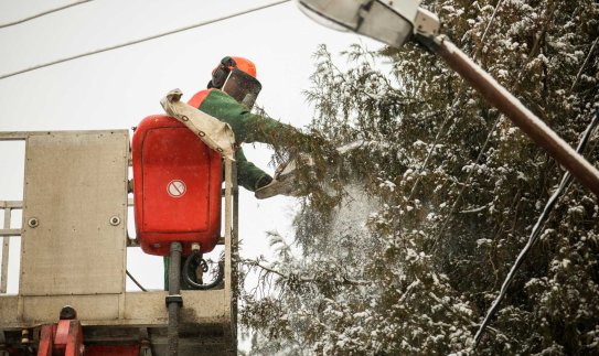 Katastrofinio vėjo iššūkiai elektros tinklams: daugiausia gedimų – trumpalaikiai, jie pašalinti...