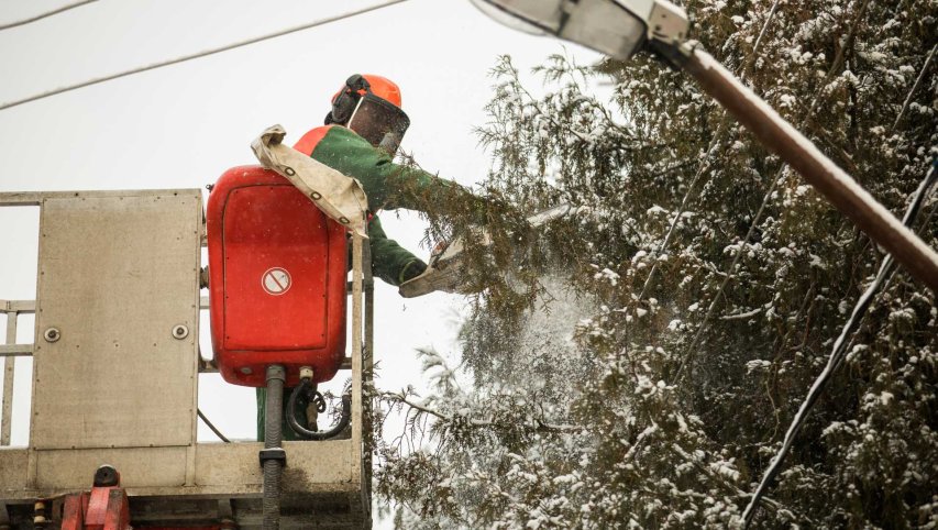 Katastrofinio vėjo iššūkiai elektros tinklams: daugiausia gedimų – trumpalaikiai, jie pašalinti...
