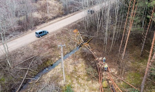 ESO dėmesys – pavojingų medžių, kurie griūdami gali pažeisti linijas, tvarkymui