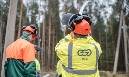 ESO primena: gyventojai atsakingi už jų žemėje šalia elektros linijų augančių medžių priežiūrą