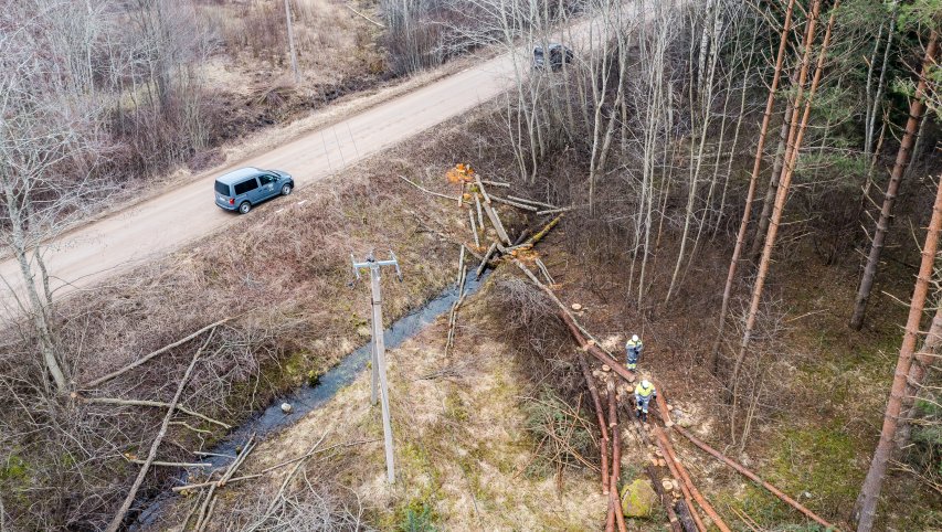 ESO dėmesys – pavojingų medžių, kurie griūdami gali pažeisti linijas, tvarkymui