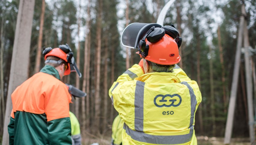ESO primena: gyventojai atsakingi už jų žemėje šalia elektros linijų augančių medžių priežiūrą