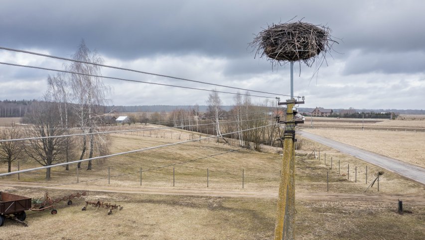 ESO rūpinasi, kad grįžtantys gandrai parskristų į saugius lizdus