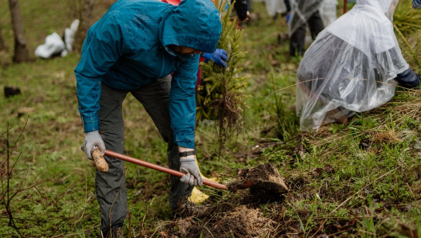 ESO darbuotojai Vingio parke pasodino kelis tūkstančius medžių