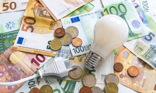 Elektros rinkos liberalizacija: kas sudaro elektros kainą?