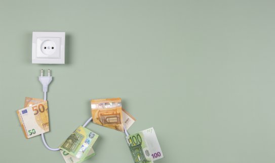 Gausite garantinio tiekimo paslaugą? ESO paaiškina kas laukia toliau