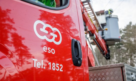 Dingo elektra? Trys patarimai ką daryti, kad ją atgauti kuo greičiau