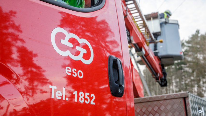 Dingo elektra? Trys patarimai ką daryti, kad ją atgauti kuo greičiau