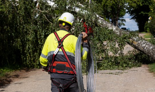 Praūžus gūsingam vėjui, ESO elektros energijos tiekimą vos per pusdienį atstatė tūkstančiams...
