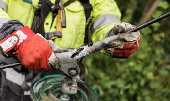 Su elektros vartotojais teisme nesusitiks – ESO mokės gyventojams kompensacijas