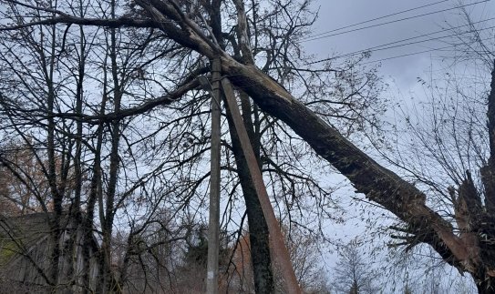 Lietuvoje siaučia gūsingas vėjas: ESO primena, kaip pasirūpinti savo saugumu 