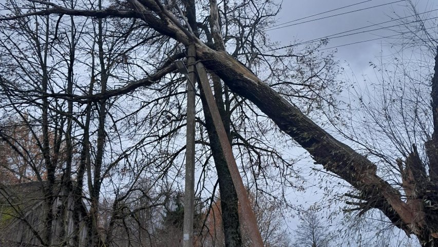 Lietuvoje siaučia gūsingas vėjas: ESO primena, kaip pasirūpinti savo saugumu 