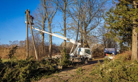 Elektros tiekimas atstatytas didžiajai daliai klientų, papildomos ESO pajėgos siunčiamos į...