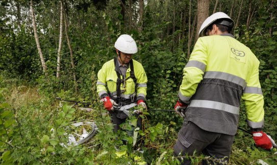 ESO jau išmokėjo beveik 1,5 mln. eurų kompensacijų už pernykštę audrą 