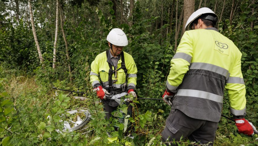 ESO jau išmokėjo beveik 1,5 mln. eurų kompensacijų už pernykštę audrą 