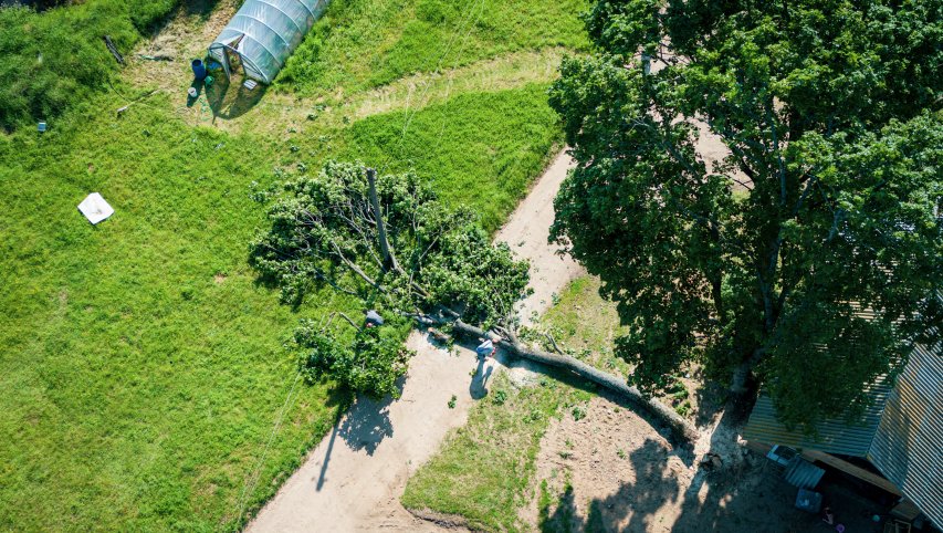 ESO klientams išsiųsti pranešimai dėl kompensacijų už pernykštę audrą – pirmieji mokėjimai jau...