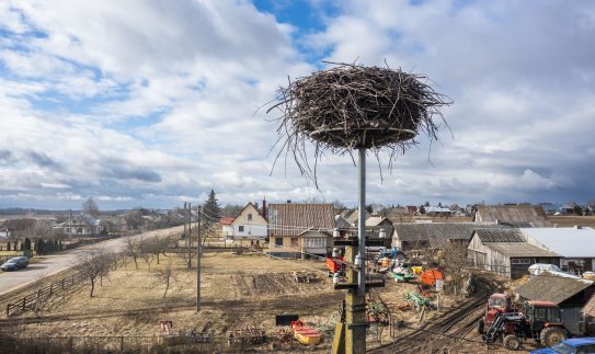 ESO: šiemet vėl per 100 sutvarkytų gandralizdžių sugrįžusiems gandrams