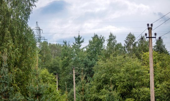 ESO: draugiškesnių sprendimų paukščiams ir gyvūnijai ieškosime kartu su aplinkosaugininkais