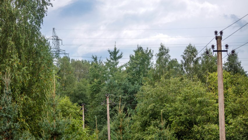 ESO: draugiškesnių sprendimų paukščiams ir gyvūnijai ieškosime kartu su aplinkosaugininkais