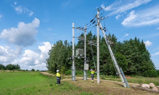 ESO ir Šiaulių kraštas bendradarbiaus apsaugant apuokus – ant elektros linijų bus sumontuotos...