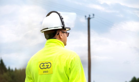 ESO operatyviai atstatė dujų tiekimą, sunkiajai technikai pažeidus dujotiekį Palangoje