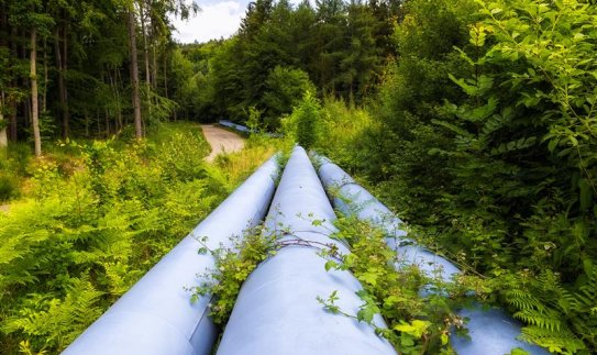 ESO operatyviai suvaldė dujotiekio pažeidimą Palangoje – gyventojams pavojaus nėra