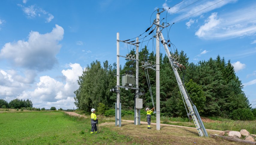 ESO ir Šiaulių kraštas bendradarbiaus apsaugant apuokus – ant elektros linijų bus sumontuotos...
