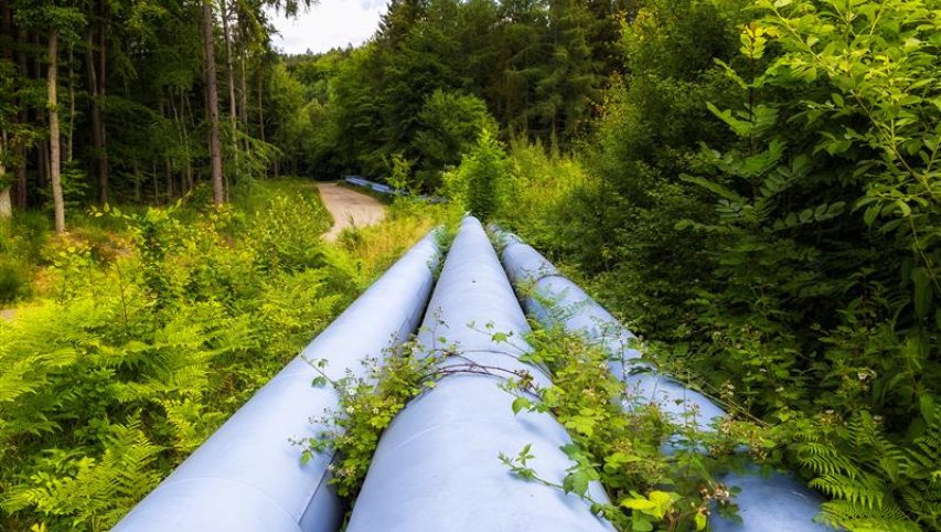 ESO operatyviai suvaldė dujotiekio pažeidimą Palangoje – gyventojams pavojaus nėra