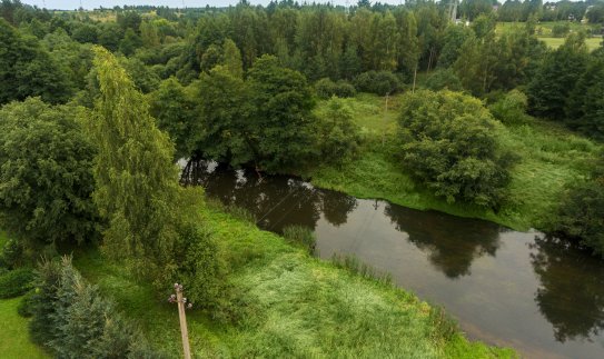 ESO ir Šiaulių kraštas suvienijo pastangas, kad apsaugotų apuokus: nupirkta įranga – jau...