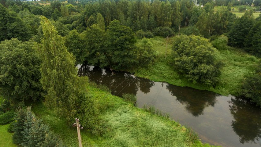 ESO ir Šiaulių kraštas suvienijo pastangas, kad apsaugotų apuokus: nupirkta įranga – jau...