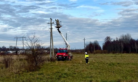 ESO ir Šiaulių kraštas suvienijo pastangas, kad apsaugotų apuokus: aplink jų buveinę sumontuotos...