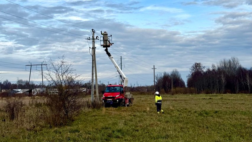 ESO ir Šiaulių kraštas suvienijo pastangas, kad apsaugotų apuokus: aplink jų buveinę sumontuotos...