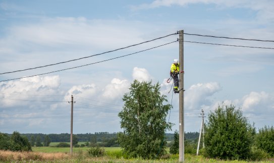 Baigtas pilotinis projektas Šiaulių krašte apuokams apsaugoti: ESO izoliavo atramas