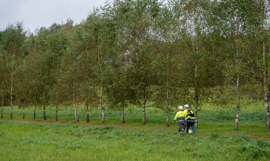 Panevėžio regione 85 kilometrai elektros linijų nugulė po žeme: ESO investuoja į patikimesnį tinklą