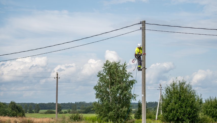 Baigtas pilotinis projektas Šiaulių krašte apuokams apsaugoti: ESO izoliavo atramas