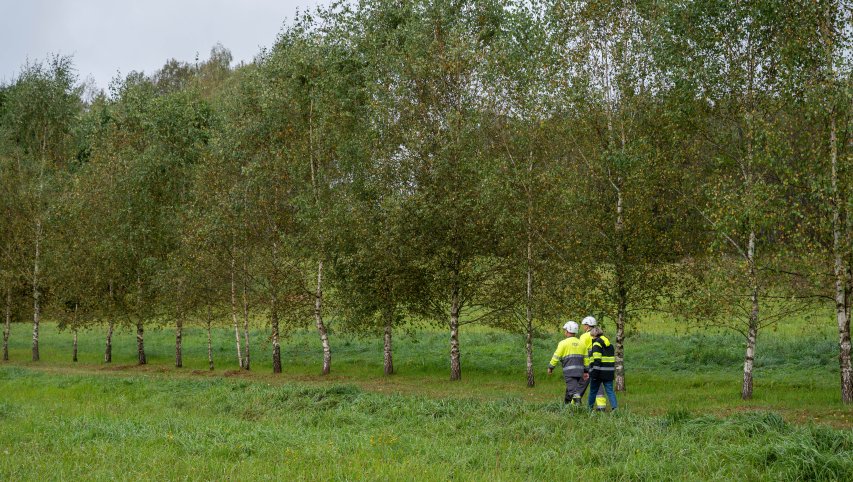 Panevėžio regione 85 kilometrai elektros linijų nugulė po žeme: ESO investuoja į patikimesnį tinklą