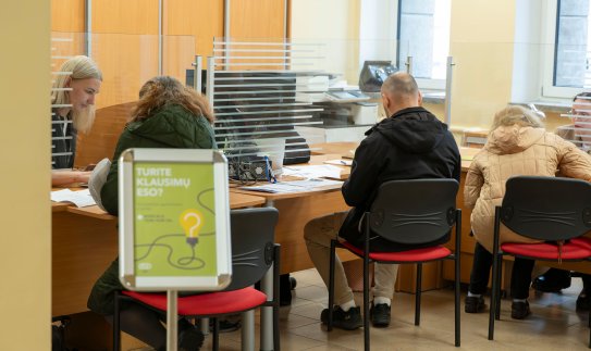 ESO Alytuje: nuo laidus pasiekusių tujų iki galios didinimo – sprendimai gyventojams čia ir dabar