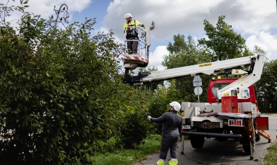 NAUJAUSIA INFORMACIJA APIE KOMPENSACIJAS: ESO mokės klientams kompensacijas, jeigu elektros dėl...