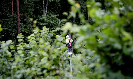 ESO atkūrė elektros tiekimą 99% audros paveiktų klientų, pagrindinės pajėgos sutelktos Utenos...