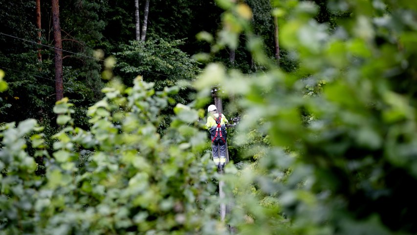 ESO atkūrė elektros tiekimą 99% audros paveiktų klientų, pagrindinės pajėgos sutelktos Utenos...